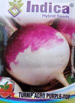 Vegetable Seeds – Turnip Seeds (SALGAM) Purple Package of