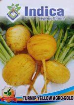 Vegetable Seeds – Turnip Yellow Seeds 7 Gram Agro Gold Turnip Seeds