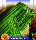 Vegetables Seeds- (बारमासे कुरिलो जहिले रोप्न मिल्ने बिउ ) All Time All Season Baramase Asparagus Exotic Seeds 20 Plus Kurilo Seeds