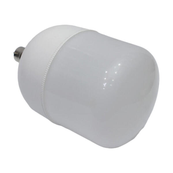 Wega Led Bulb 24W B22