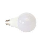 Wega Led Bulb B22 12W