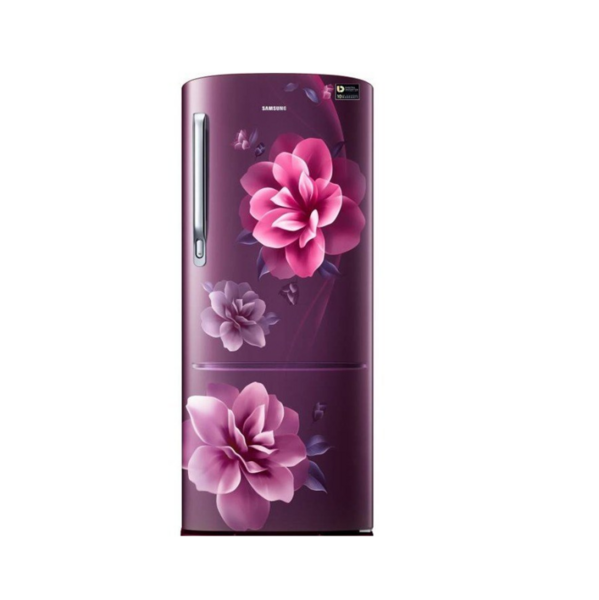 Samsung 192 L Single Door Refrigerator RR20A274ACR/IM