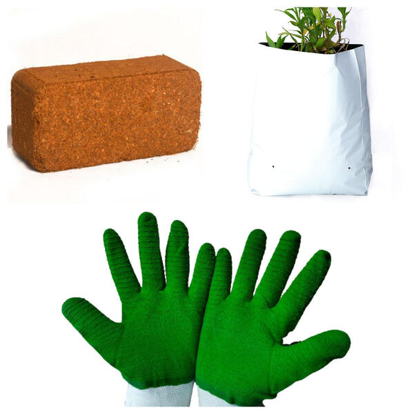 cocopeat + 5 Medium Growbag+ 1 Green Gloves