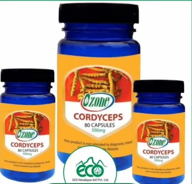 Cordyceps Capsule From Eco Himalaya For Your Good Health 80 Capsule