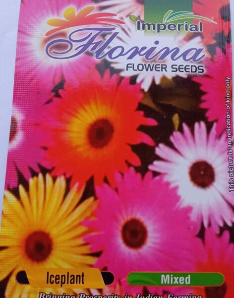 Flower Seeds- Iceplant Flower Seeds 2 Gram Mixed Flower Seeds