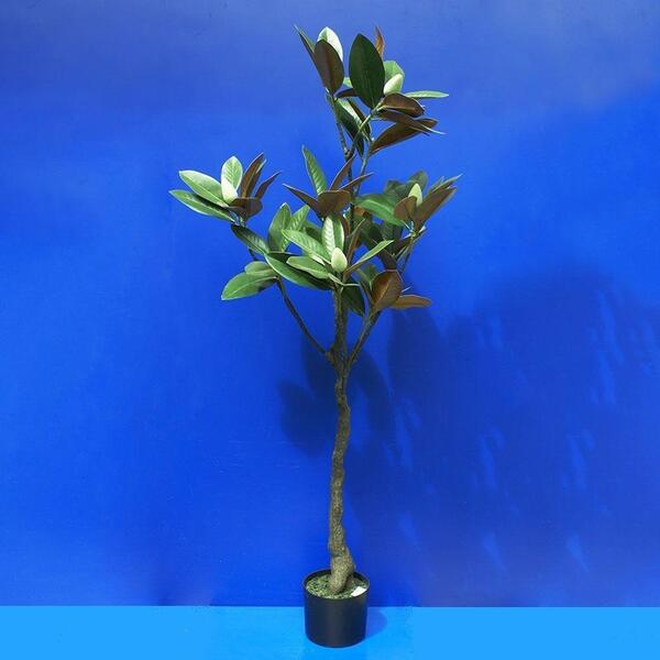 Big Beautiful Plant