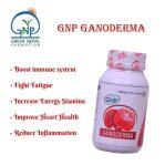 GNP Ganoderma – 90 Capsules