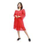 Net Full Sleeve Off Shoulder Design Dress For Women