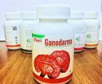 River's Ganoderma Capsule, Standard Food Grade Supplement, Boost Immune System, Anti-Cancer, Reduce Fatigue, Blood Sugar Control, Healthy Heart, Beneficial Mushroom Extract (90 capsules)