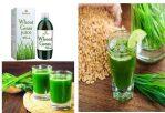 Wheat Grass Juice