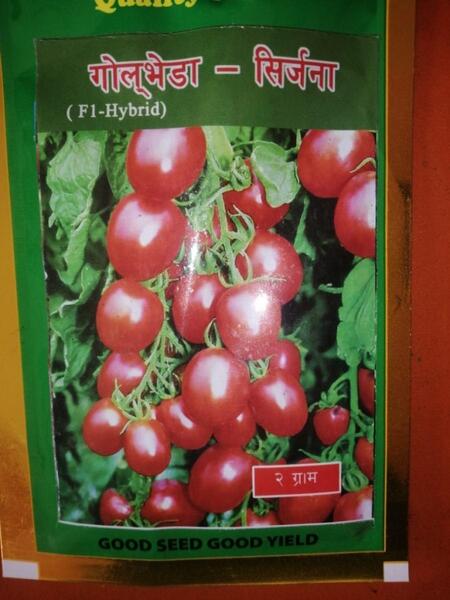 Tomato Seed Srijana 0