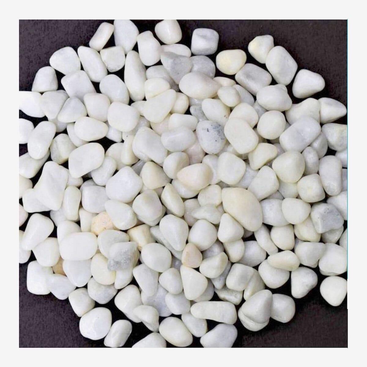 white stone 500gm pebbles for aquarium decoration stones decor pebble natural white polished stones 500gm by hamropets