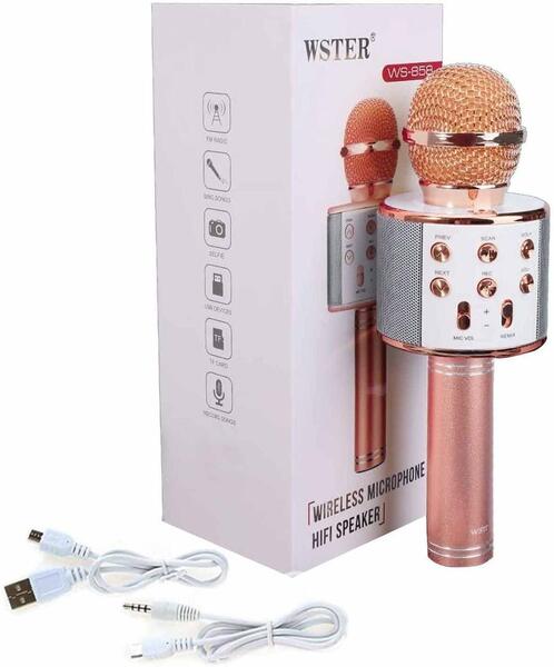 WSTER Wireless Microphone HIFI Speaker WS 858