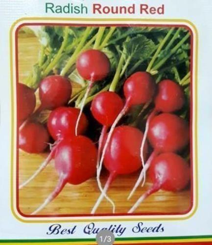 1 packet radish seeds round red vegetable seeds