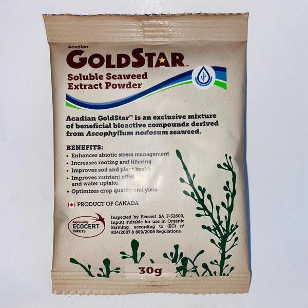 Seaweed Extract All Purpose Plant Food, 30gm,GoldStar Soluble Seaweed Extract Powder Approved By ECOCERT