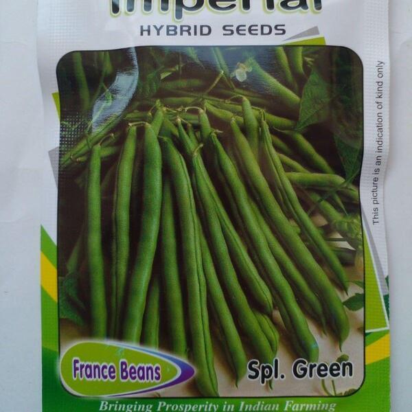 France Bean Seeds - Green Vegetable