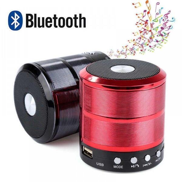 Mini Speaker WS•887 + Mobile Phone Call