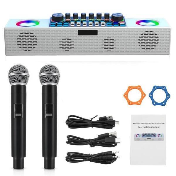 Ezeekart Wireless Microphone Karaoke Mixer System