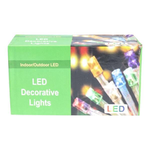 Indoor/Outdoor Led Decorative Light