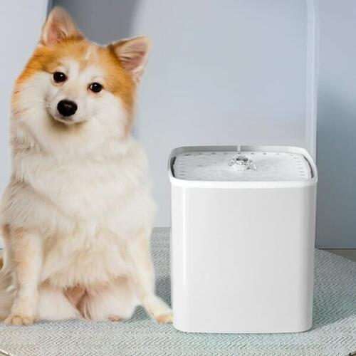 Pet Water dispenser with filtration