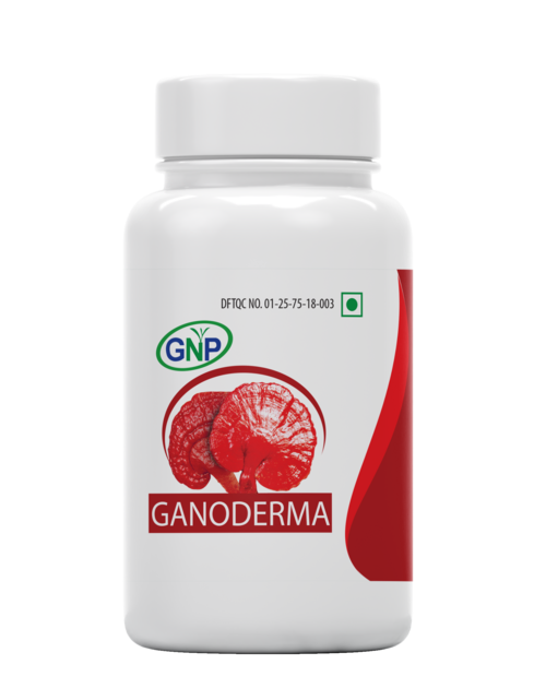 GNP Ganoderma 90x500mg