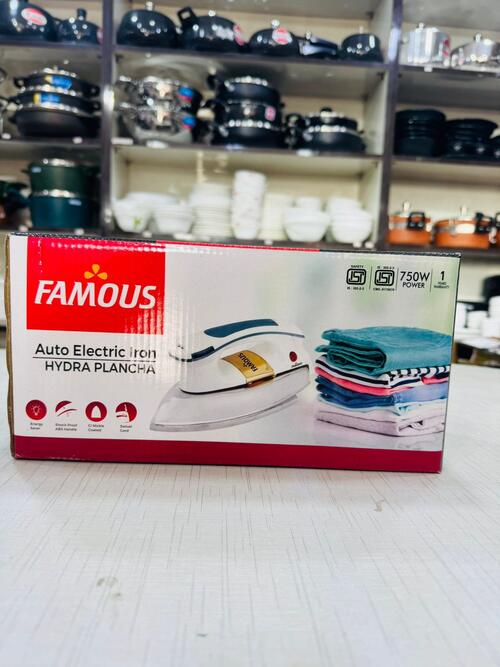 Famous Auto Electric Iron 750W