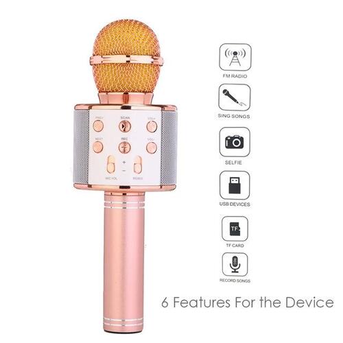 Ws-858 Wireless Karaoke Microphone - Pink Gold
