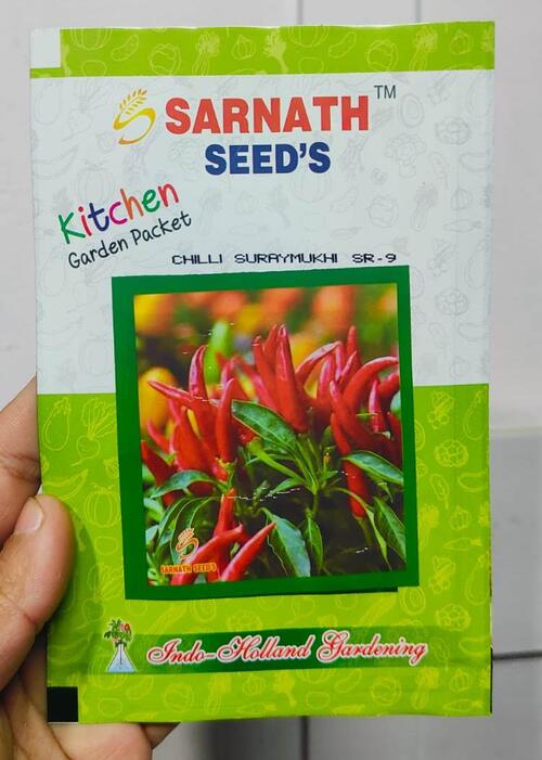 1 Packet Kitchen Garden Packet Chilli Seeds Chilli Suryamuhi Sr 9 Seeds - Best For Kausi Kheti And Small Garden Upward Very Hot Chilli Seeds ( Round a Year And All Season Chilli Seeds)