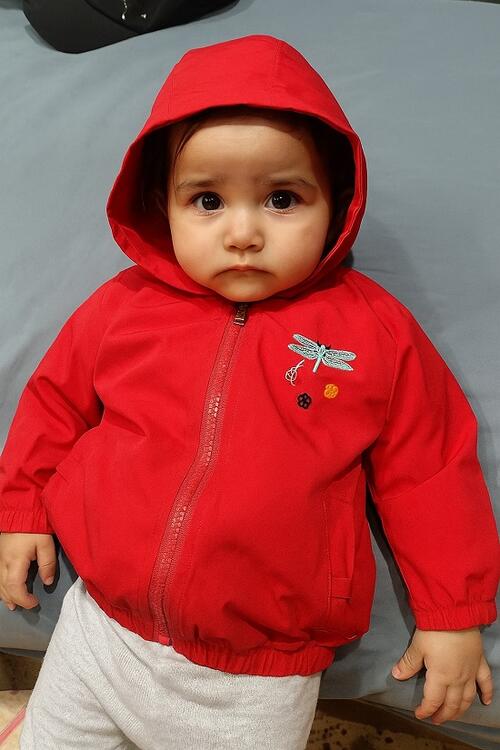 hooded jacket
