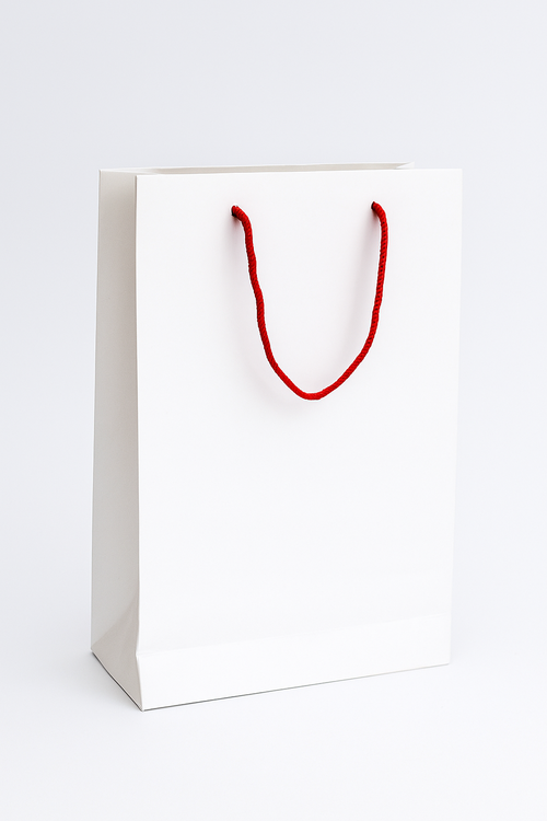 Plain White Paper Gift Bag